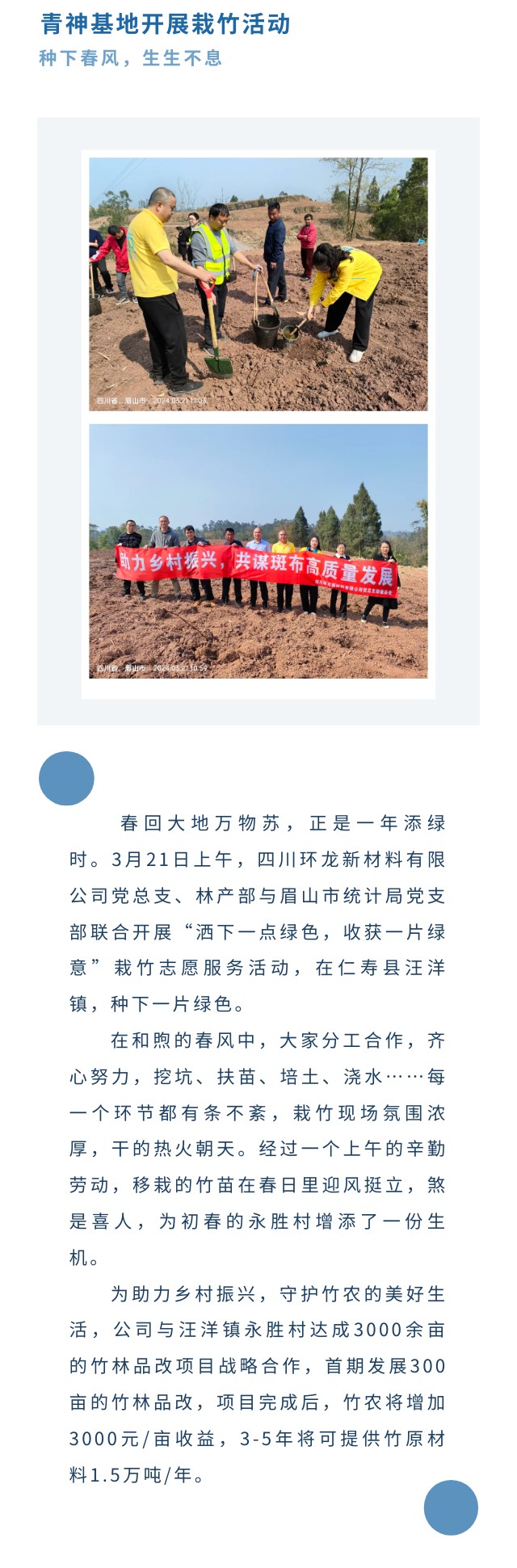 種竹子.jpg